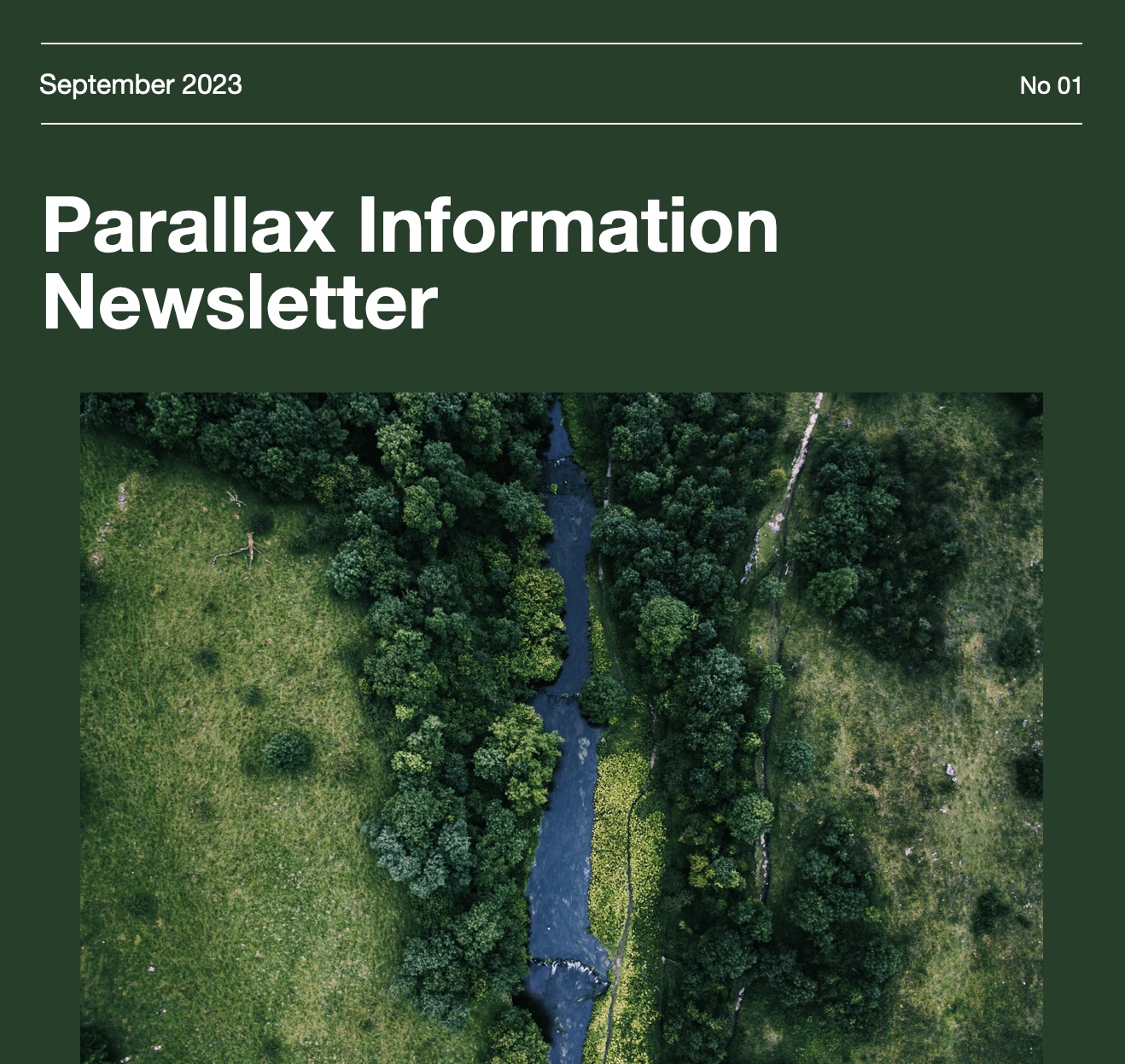 Introducing the Parallax Information Consulting Newsletter